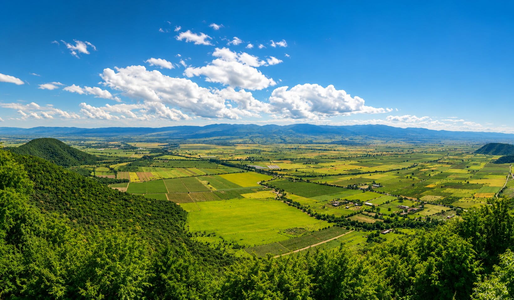Алазанская долина