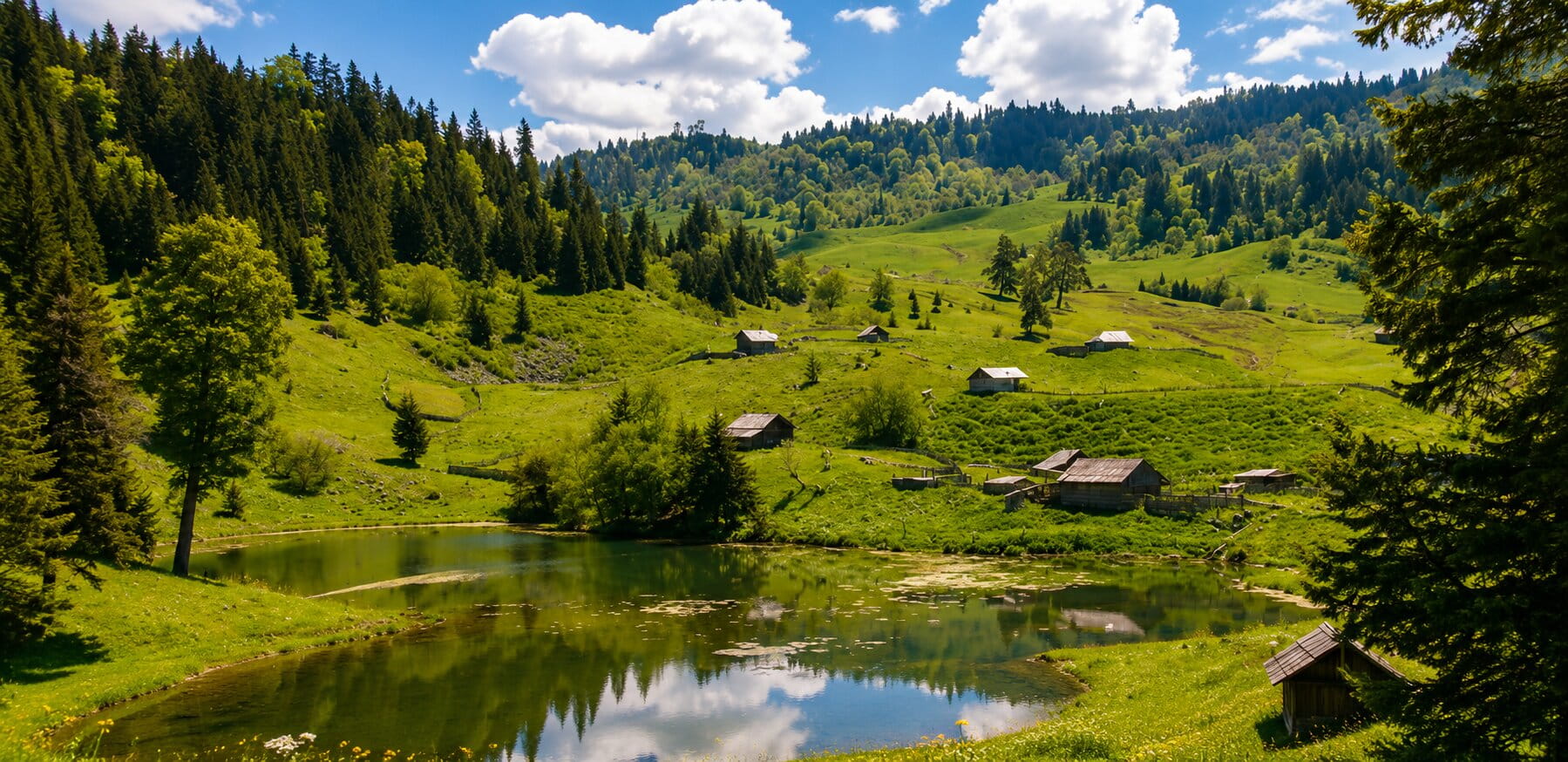 Национальный парк Боржоми-Харагаули